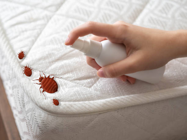 Best Pest Exclusion Services  in Liverpool, NY